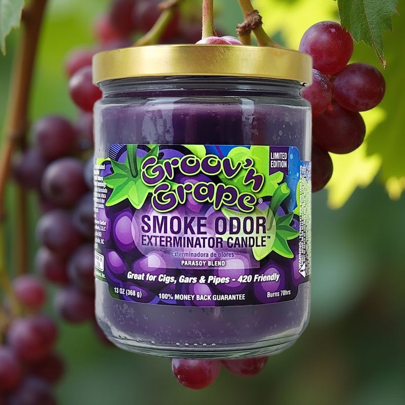 Groov'n Grape 4" Odor Exterminator Glass Jar Candle 13oz