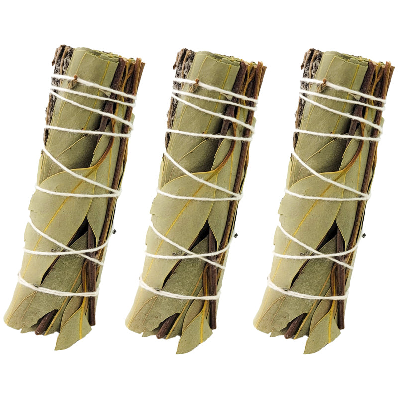 Eucalyptus & Lavender 4" Bundle Smudge Stick
