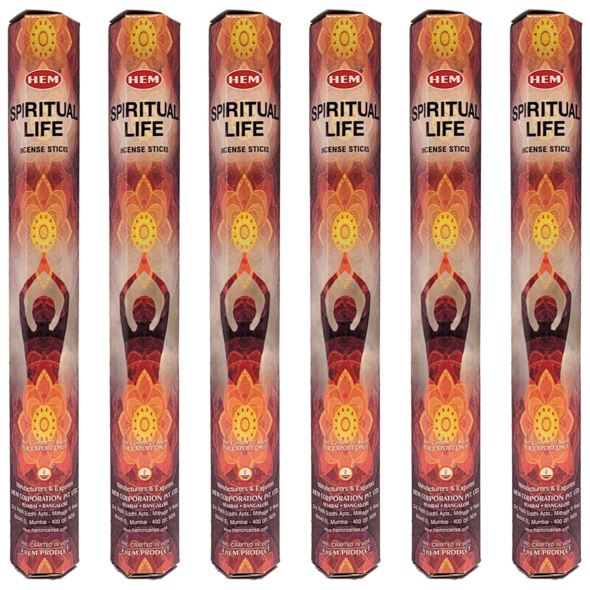 HEM Incense Sticks 20-Stick Hex Packs, Spiritual Life