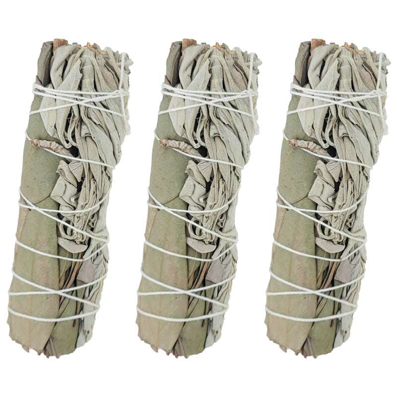 White Sage & Eucalyptus 4" Bundle Smudge Stick