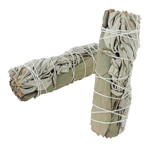 White Sage & Eucalyptus 4" Bundle Smudge Stick