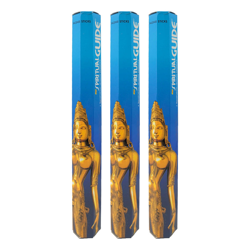 Padmini Spiritual Guide Scent Incense Sticks, 17g Hexa Packs