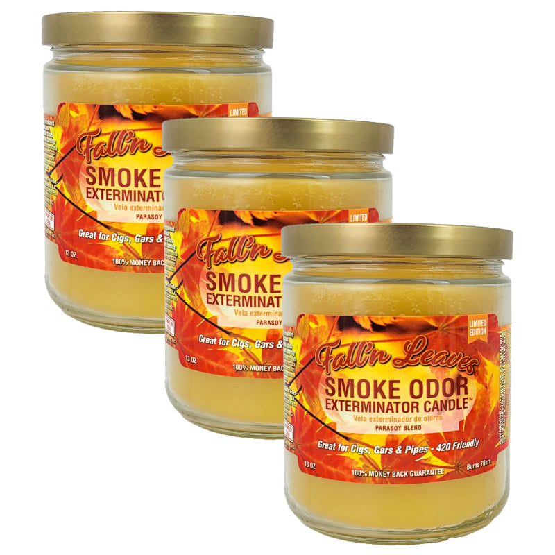 Fallin Leaves 4" Odor Exterminator Glass Jar Candle 13oz