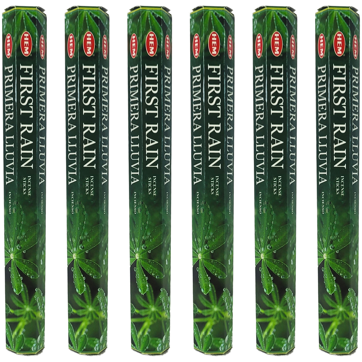 HEM Incense Sticks 20-Stick Hex Packs, First Rain