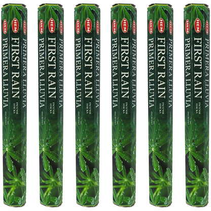 HEM Incense Sticks 20-Stick Hex Packs, First Rain