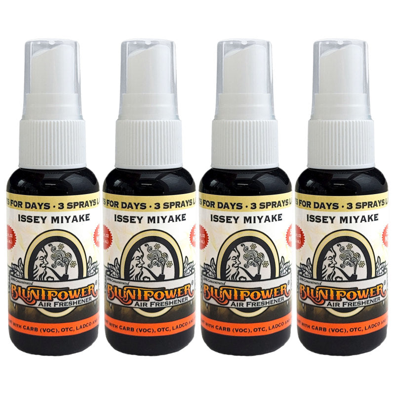 Blunt Power Spray 1.5 OZ I.M. TYPE Scent