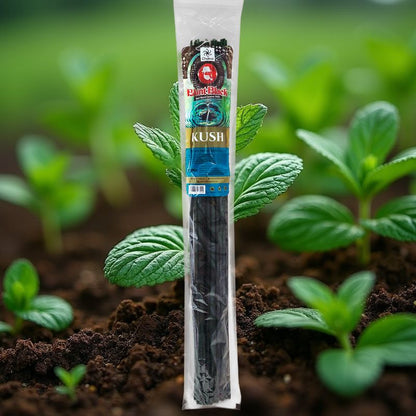 Kush Scent 19" Blunt Black Jumbo Incense