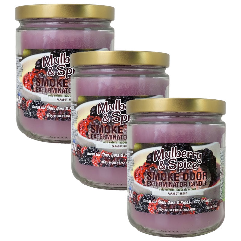 Mulberry & Spice 4" Odor Exterminator Glass Jar Candle 13oz