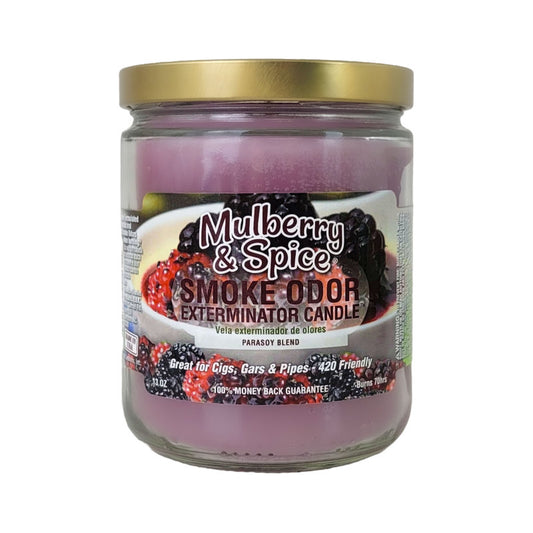 Mulberry & Spice 4" Odor Exterminator Glass Jar Candle 13oz