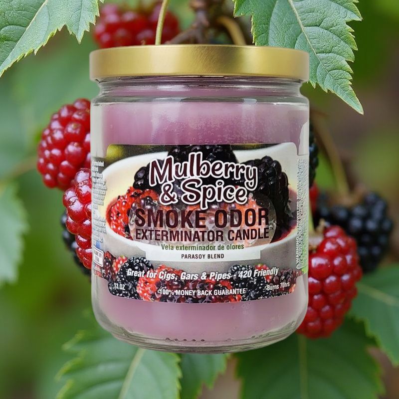 Mulberry & Spice 4" Odor Exterminator Glass Jar Candle 13oz