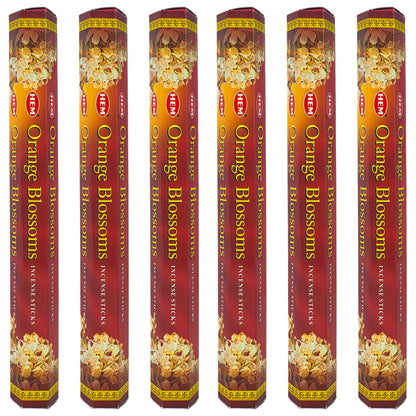 HEM Incense Sticks 20-Stick Hex Packs, Orange Blossoms