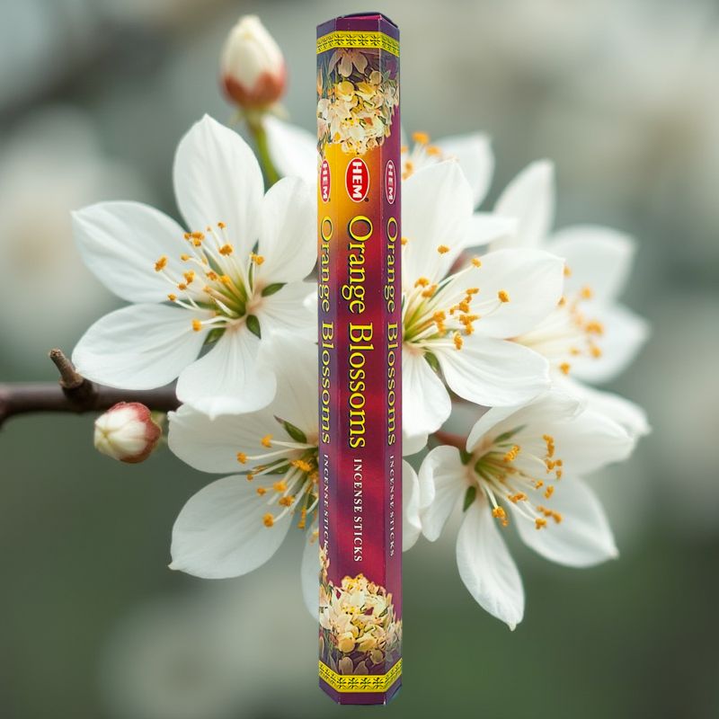 HEM Incense Sticks 20-Stick Hex Packs, Orange Blossoms