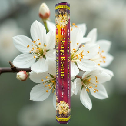 HEM Incense Sticks 20-Stick Hex Packs, Orange Blossoms