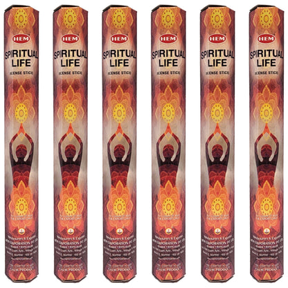 HEM Incense Sticks 20-Stick Hex Packs, Spiritual Life