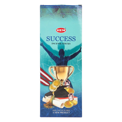 HEM Incense Sticks 20-Stick Hex Packs, Success