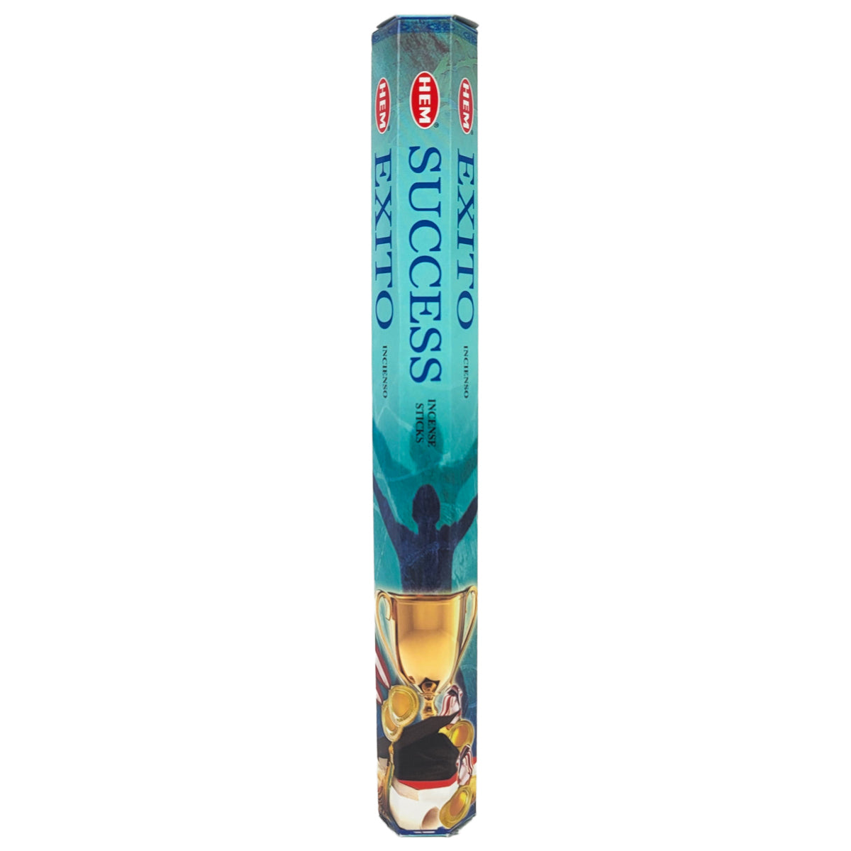 HEM Incense Sticks 20-Stick Hex Packs, Success