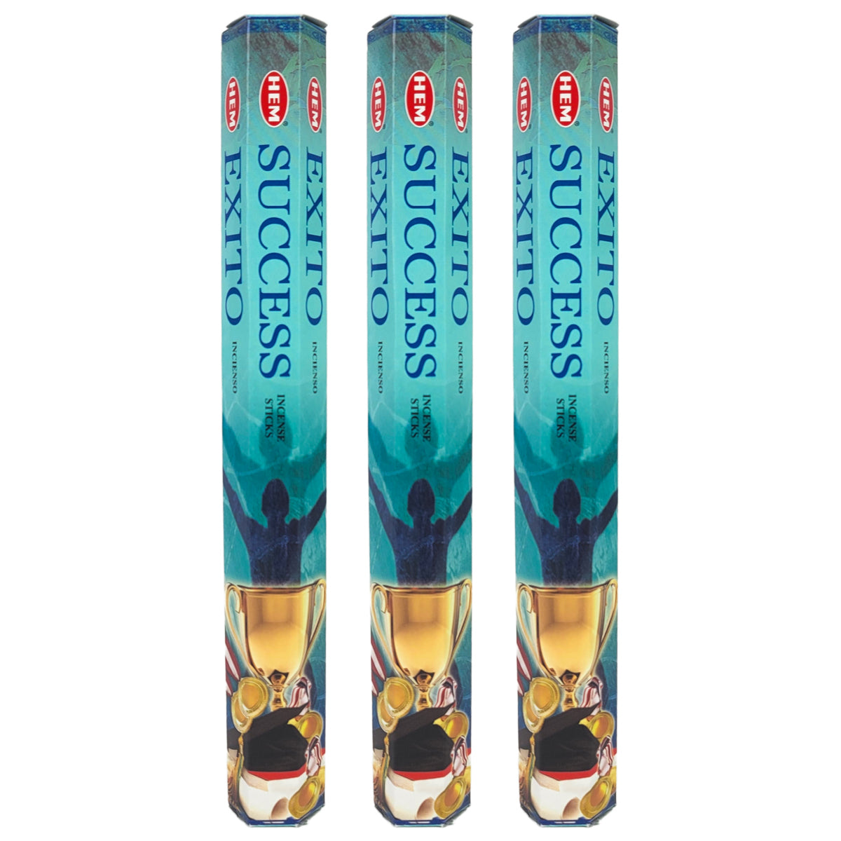 HEM Incense Sticks 20-Stick Hex Packs, Success