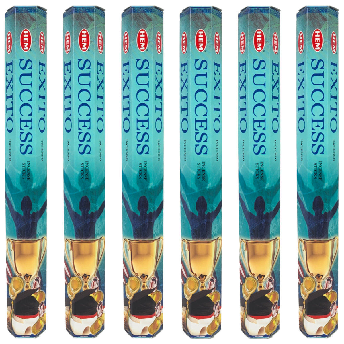 HEM Incense Sticks 20-Stick Hex Packs, Success