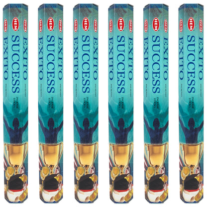 HEM Incense Sticks 20-Stick Hex Packs, Success