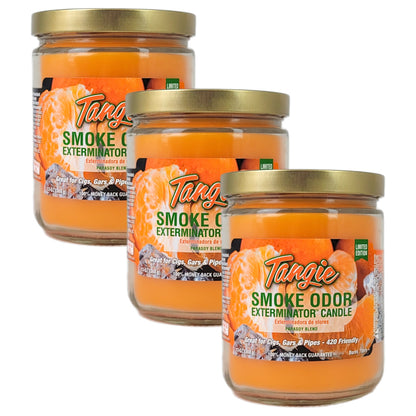 Tangie 4" Odor Exterminator Glass Jar Candle 13oz