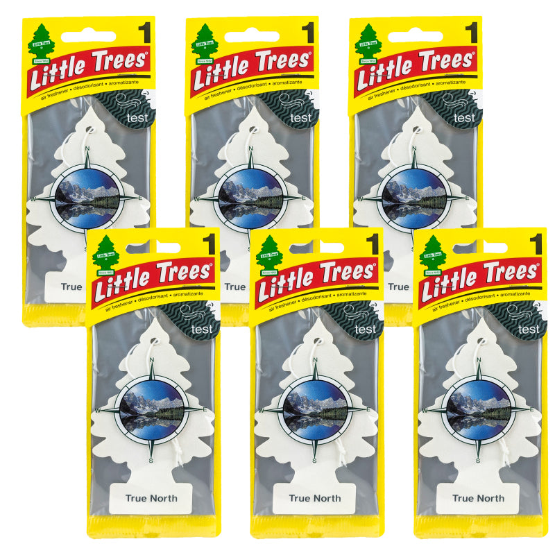 Little Trees True North Scent Hanging Air Freshener