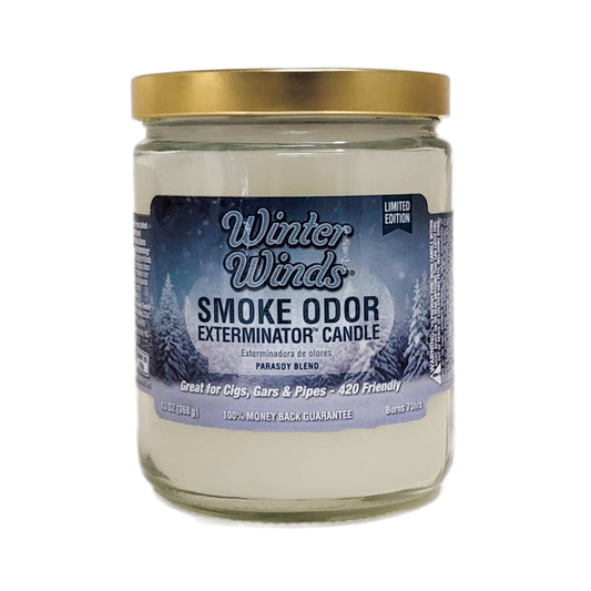 Winter Winds 4" Odor Exterminator Glass Jar Candle 13oz