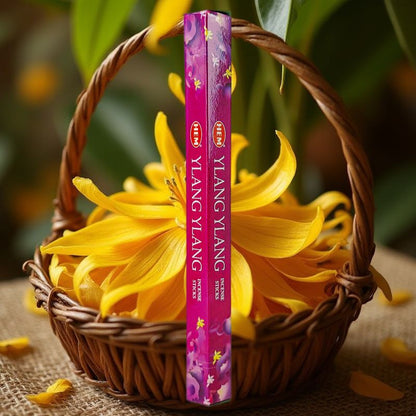 HEM Incense Sticks 20-Stick Hex Packs, Ylang Ylang