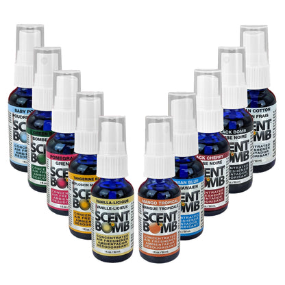 ASSORTED 4-Pack Scent Bomb 1OZ Air Freshener Sprays