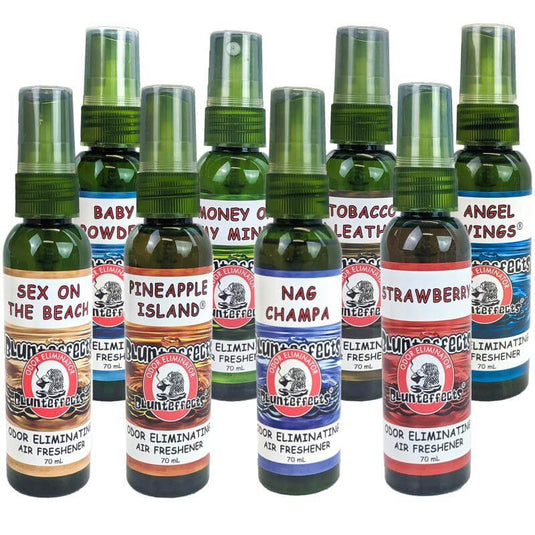 Little Trees Rainshine Scent Hanging Air Freshener