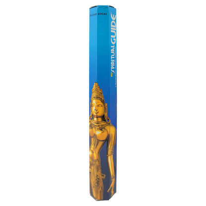 Padmini Spiritual Guide Scent Incense Sticks, 20g Hexa Packs
